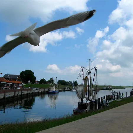 Goldene-linie-4-deichblick *