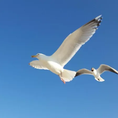 Goldene-linie-4-deichblick Lejlighed Schillig