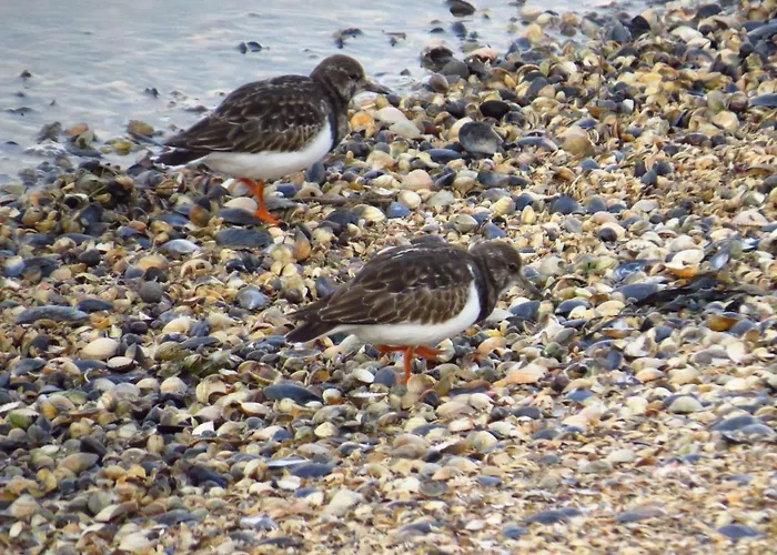 Goldene-linie-4-deichblick