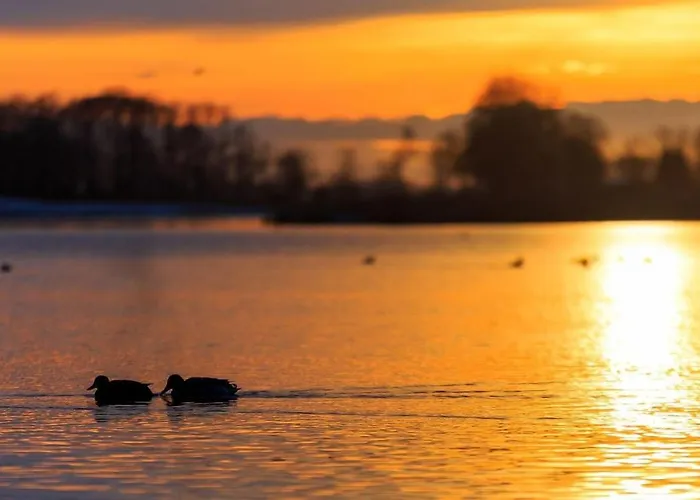 Goldene-linie-4-deichblick